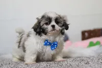 processed/295c1a10-f815-4959-a32a-5c65c7aaae99/listing/65a50420-3b1a-4386-b7b9-714b2fc4939a/471ff582-f24c-4e17-9762-76c511530fe2