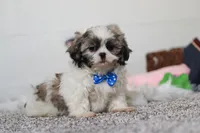 processed/295c1a10-f815-4959-a32a-5c65c7aaae99/listing/65a50420-3b1a-4386-b7b9-714b2fc4939a/74f7bf95-40b7-4940-a716-34e5804b2b87