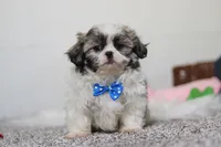 processed/295c1a10-f815-4959-a32a-5c65c7aaae99/listing/65a50420-3b1a-4386-b7b9-714b2fc4939a/b7483726-d5e6-433d-a56a-9fa618758196