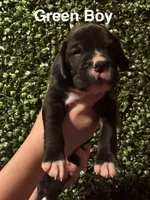 processed/29624e02-6975-4861-b454-e53521b17f8a/listing/380bd0e9-5104-4c41-9dee-b9623c90052f/1a331e43-da57-46fa-aaaa-fdac9ae4a2d1