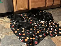 processed/29624e02-6975-4861-b454-e53521b17f8a/listing/380bd0e9-5104-4c41-9dee-b9623c90052f/20b51127-53b8-4134-921c-4a611feb26a4