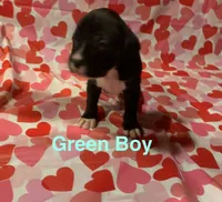 processed/29624e02-6975-4861-b454-e53521b17f8a/listing/380bd0e9-5104-4c41-9dee-b9623c90052f/7d431822-d6fc-4c1b-8a3a-f138de31b6e6