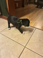 processed/29624e02-6975-4861-b454-e53521b17f8a/listing/380bd0e9-5104-4c41-9dee-b9623c90052f/ca67de6a-20b4-4bf1-b72e-b6e6eb18c265