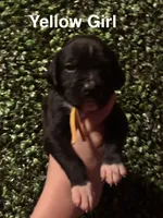 processed/29624e02-6975-4861-b454-e53521b17f8a/listing/963f89fb-5b24-4330-b34b-fbbfb7620182/0a0b1d83-6ddc-4cc3-aebd-dd78a9a3580e