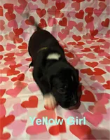 processed/29624e02-6975-4861-b454-e53521b17f8a/listing/963f89fb-5b24-4330-b34b-fbbfb7620182/3c0398f8-b108-4ebb-ada5-a554e6b09506