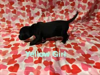 processed/29624e02-6975-4861-b454-e53521b17f8a/listing/963f89fb-5b24-4330-b34b-fbbfb7620182/ae9c694f-9c65-41b1-8c04-befbe0ff5971