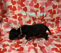 processed/29624e02-6975-4861-b454-e53521b17f8a/listing/9df1eb72-fa16-44f0-8ff0-5ae1b2cf5af0/b115376e-d8d2-43c2-a8e7-e3ebaa97e75d