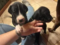 processed/29624e02-6975-4861-b454-e53521b17f8a/listing/9df1eb72-fa16-44f0-8ff0-5ae1b2cf5af0/bf50c62c-eadb-4499-8d8b-9ef3da69e150