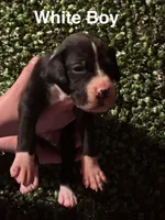 processed/29624e02-6975-4861-b454-e53521b17f8a/listing/9df1eb72-fa16-44f0-8ff0-5ae1b2cf5af0/f2ea674c-1cfa-44f8-a1b3-31d0e3b1e164