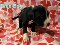 processed/29624e02-6975-4861-b454-e53521b17f8a/listing/a33b7c89-2913-493e-9c06-d401f246bb5d/6faa82e5-6912-4d90-bf82-576f07ff14ad