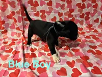 processed/29624e02-6975-4861-b454-e53521b17f8a/listing/a33b7c89-2913-493e-9c06-d401f246bb5d/83392b3a-7e0c-4784-94c9-0cf3f09e9717