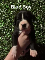 processed/29624e02-6975-4861-b454-e53521b17f8a/listing/a33b7c89-2913-493e-9c06-d401f246bb5d/e312b3c0-642e-4380-96a1-9b119f1660f3