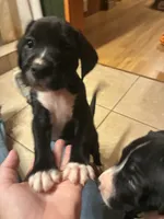 processed/29624e02-6975-4861-b454-e53521b17f8a/listing/e9dceb63-bac2-4eb7-9e82-c52456dcbdcd/aaf60783-a83e-4b4d-8e4c-1c57ada4893f