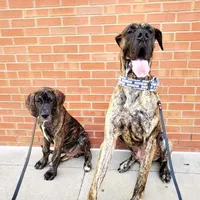 Facility photo