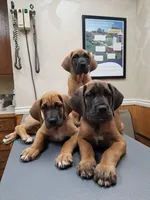 Facility photo