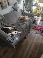 processed/296b9ada-7469-492c-af35-1d70fbd9869c/facility/f0a34d56-bc88-46a8-b230-374e4cb13f8c