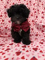 processed/29842ebf-eb62-4ff0-bb4e-a184498aef5b/listing/0e91565c-e223-4b72-b707-0b5034057469/1428c1fd-5b0e-47a1-aac4-e0722433e87b