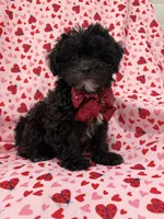 processed/29842ebf-eb62-4ff0-bb4e-a184498aef5b/listing/0e91565c-e223-4b72-b707-0b5034057469/5ba968d9-910e-4530-b19c-6d4afb3cc614