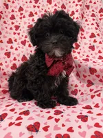 processed/29842ebf-eb62-4ff0-bb4e-a184498aef5b/listing/0e91565c-e223-4b72-b707-0b5034057469/7645698e-eb10-4163-9726-66fc04ccc957