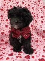 processed/29842ebf-eb62-4ff0-bb4e-a184498aef5b/listing/0e91565c-e223-4b72-b707-0b5034057469/7f51d0fe-f96d-45d3-8c1d-63d0302c63a7