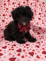 processed/29842ebf-eb62-4ff0-bb4e-a184498aef5b/listing/0e91565c-e223-4b72-b707-0b5034057469/815dd62e-597e-468c-abcb-71f6f8b53f1c