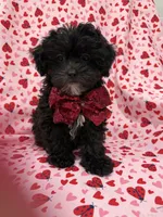 processed/29842ebf-eb62-4ff0-bb4e-a184498aef5b/listing/0e91565c-e223-4b72-b707-0b5034057469/cd47d9fb-fe9d-4c82-9eb7-e841e843f098