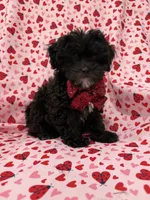 processed/29842ebf-eb62-4ff0-bb4e-a184498aef5b/listing/0e91565c-e223-4b72-b707-0b5034057469/f2b93d56-e4ac-4ab4-9802-0d60bf162d58