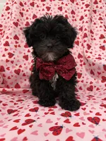 processed/29842ebf-eb62-4ff0-bb4e-a184498aef5b/listing/0e91565c-e223-4b72-b707-0b5034057469/f96a2a17-4539-44a3-8ba5-bdd964e4a9b2