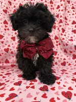 processed/29842ebf-eb62-4ff0-bb4e-a184498aef5b/listing/0e91565c-e223-4b72-b707-0b5034057469/f9a83546-6396-42dd-b8d3-4a1e9d81745a