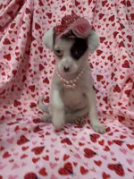 processed/29842ebf-eb62-4ff0-bb4e-a184498aef5b/listing/1ae74471-f3df-4578-943a-5381d0f409ed/38a80429-2ec1-4a21-854e-6e6a7a413062