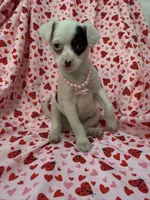 processed/29842ebf-eb62-4ff0-bb4e-a184498aef5b/listing/1ae74471-f3df-4578-943a-5381d0f409ed/3d305618-44c2-49f1-a571-df7ae2d689d9