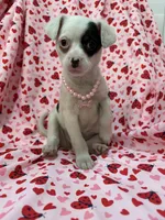 processed/29842ebf-eb62-4ff0-bb4e-a184498aef5b/listing/1ae74471-f3df-4578-943a-5381d0f409ed/6fdd5306-1cbc-4b3d-b78b-bce72aeebab0