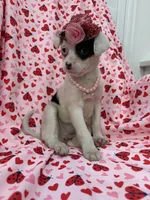 processed/29842ebf-eb62-4ff0-bb4e-a184498aef5b/listing/1ae74471-f3df-4578-943a-5381d0f409ed/8b1a1cce-89da-4f3a-b265-dc7c6d350362