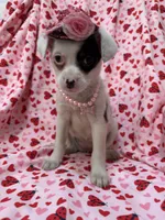 processed/29842ebf-eb62-4ff0-bb4e-a184498aef5b/listing/1ae74471-f3df-4578-943a-5381d0f409ed/c17fa65e-c127-409c-92ea-0820dd658bc3