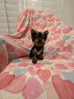 processed/29842ebf-eb62-4ff0-bb4e-a184498aef5b/listing/2244cea1-26e1-4557-9276-3e06032faf03/0253b220-a7d5-4ce1-8eb5-a7825bd9ff53