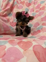 processed/29842ebf-eb62-4ff0-bb4e-a184498aef5b/listing/2244cea1-26e1-4557-9276-3e06032faf03/1c69ceb2-5ab0-4ba1-93ff-f0d0630bc3ba