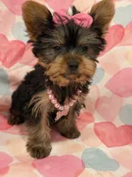 processed/29842ebf-eb62-4ff0-bb4e-a184498aef5b/listing/2244cea1-26e1-4557-9276-3e06032faf03/a86ba15e-9c70-4622-939d-6936aa212e87