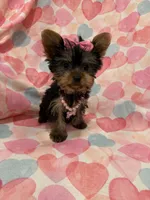 processed/29842ebf-eb62-4ff0-bb4e-a184498aef5b/listing/2244cea1-26e1-4557-9276-3e06032faf03/ab3d23e6-0819-482d-9ea7-13f2580a63be