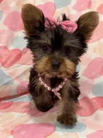 processed/29842ebf-eb62-4ff0-bb4e-a184498aef5b/listing/2244cea1-26e1-4557-9276-3e06032faf03/c9c44d4c-2ef0-4775-aaee-8d44c1c0c1c9