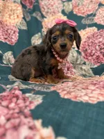 processed/29842ebf-eb62-4ff0-bb4e-a184498aef5b/listing/325050fa-1592-4a28-b2e0-d6d855913676/191379a5-16a3-47fe-ae40-692351b96863