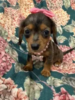 processed/29842ebf-eb62-4ff0-bb4e-a184498aef5b/listing/325050fa-1592-4a28-b2e0-d6d855913676/23dd1042-281d-4952-b755-7ffc6ff519b8