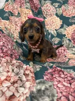 processed/29842ebf-eb62-4ff0-bb4e-a184498aef5b/listing/325050fa-1592-4a28-b2e0-d6d855913676/3afdef2a-35db-499a-85ff-3ed7b50510e8