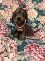 processed/29842ebf-eb62-4ff0-bb4e-a184498aef5b/listing/325050fa-1592-4a28-b2e0-d6d855913676/3fdd4b97-8ac2-4599-b0b7-418e281e2ac2