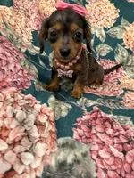 processed/29842ebf-eb62-4ff0-bb4e-a184498aef5b/listing/325050fa-1592-4a28-b2e0-d6d855913676/6f00b9ea-8053-45b1-a73c-733a1f906f9c