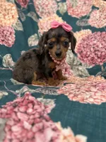 processed/29842ebf-eb62-4ff0-bb4e-a184498aef5b/listing/325050fa-1592-4a28-b2e0-d6d855913676/9c0767a3-1e1b-4d4f-b8ca-249f2071a1c9