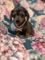 processed/29842ebf-eb62-4ff0-bb4e-a184498aef5b/listing/325050fa-1592-4a28-b2e0-d6d855913676/a5c6ee0d-68c4-43be-8a78-3ac1ff852eb1