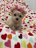 processed/29842ebf-eb62-4ff0-bb4e-a184498aef5b/listing/3b5b120a-debe-4c26-b2eb-0a8c2d408e33/5bc7549c-04f2-4d05-b43f-d8fc76727774