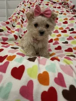 processed/29842ebf-eb62-4ff0-bb4e-a184498aef5b/listing/3b5b120a-debe-4c26-b2eb-0a8c2d408e33/8070aa7d-8d10-40e0-8fa7-4a269af9b172