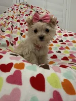 processed/29842ebf-eb62-4ff0-bb4e-a184498aef5b/listing/3b5b120a-debe-4c26-b2eb-0a8c2d408e33/db1f14e4-7971-4584-be8b-638ac86fdac5