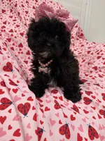 processed/29842ebf-eb62-4ff0-bb4e-a184498aef5b/listing/4d0f8d9e-d1ff-49a9-ab96-4b571a524e15/78b17449-56b7-4eef-9be6-8170214c9f12